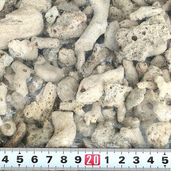 ジュン(ペット用品) JUN 極上サンゴNO.25(大粒骨サンゴ) 5kg ジュン(ペット用品) JUN 極上サンゴNO.25(大粒骨サンゴ) 5kg