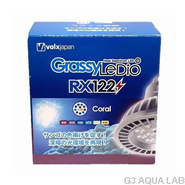 送料無料 ボルクスジャパン Grassy LeDio RX122 Coral/コーラル : G3