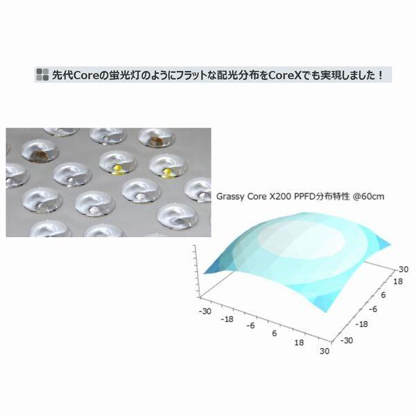 送料無料 ボルクス グラッシーコア X200 リーフ(SPSサンゴ 送料無料 ボルクス グラッシーコア X200 リーフ(SPSサンゴ