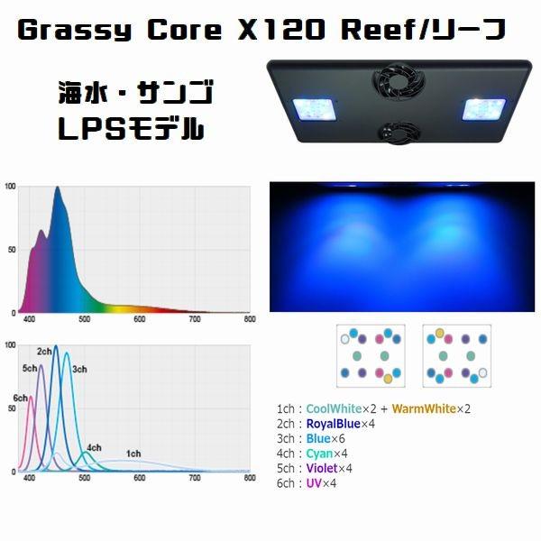 ボルクス グラッシーコア X120 リーフ(LPSサンゴモデル)吊り ボルクス グラッシーコア X120 リーフ(LPSサンゴモデル)吊り