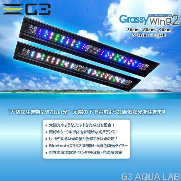 ボルクス グラッシーウィング2 フレッシュ 30cm水槽用 : G3 AQUA LAB
