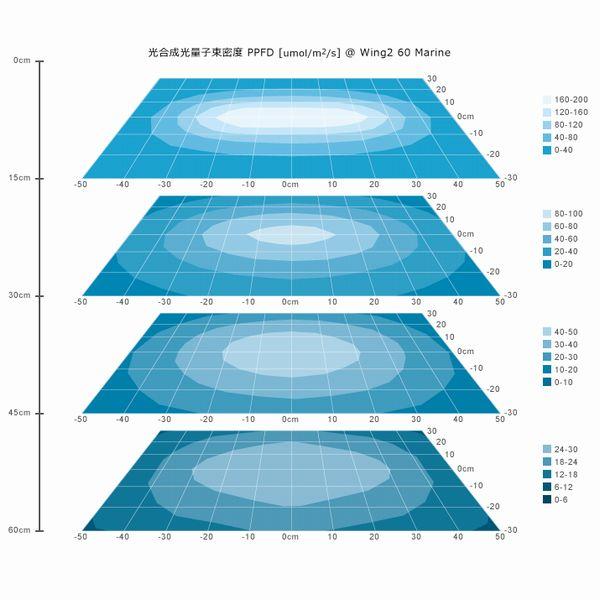 ボルクス グラッシーウィング2 マリン 30cm 【公式通販】