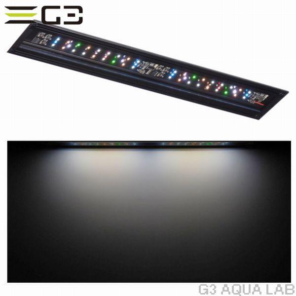ボルクス グラッシーウィング2 フレッシュ 30cm水槽用 : G3 AQUA LAB 