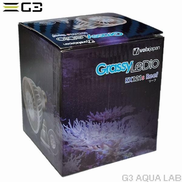 送料無料 volxjapan GrassyLeDio RX121S Reef(シルバー)サンゴ 送料無料 volxjapan GrassyLeDio RX121S Reef(シルバー)サンゴ