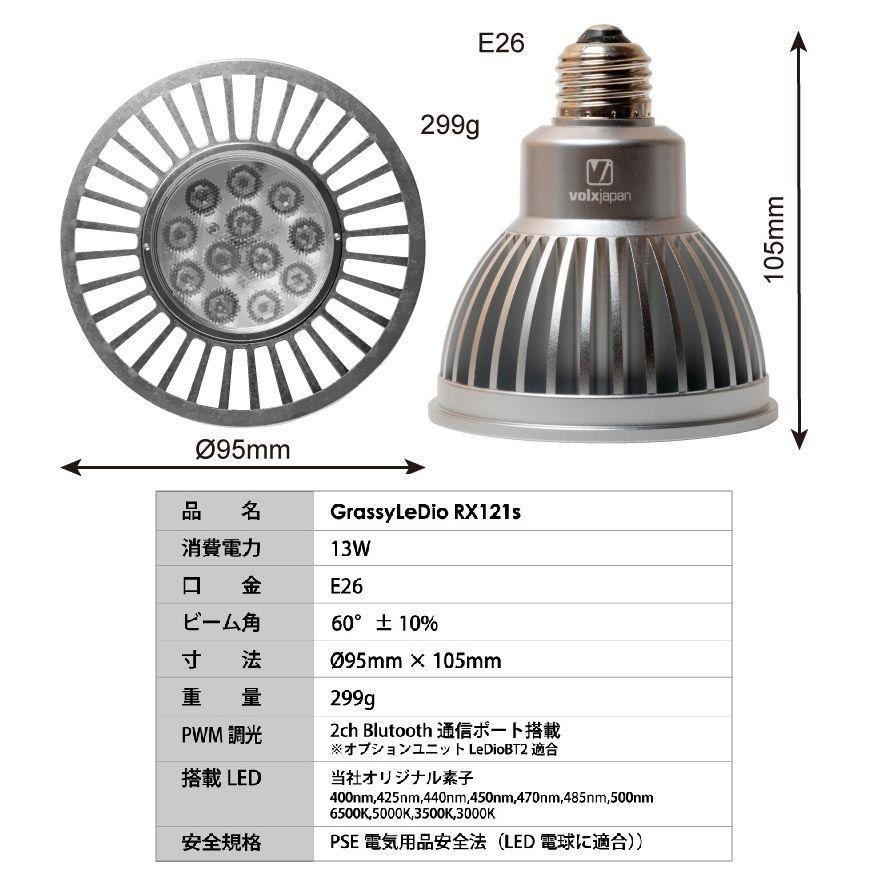 送料無料 volxjapan GrassyLeDio RX121S Reef(シルバー)サンゴ 送料無料 volxjapan GrassyLeDio RX121S Reef(シルバー)サンゴ