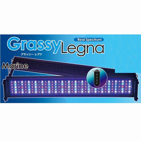 ボルクス グラッシーレグナマリン 30 GrassyLegna Marine30 30cm海水