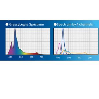 ボルクス グラッシーレグナマリン 90　GrassyLegna Marine90　90cm海水水槽用｜g3aqualab｜02