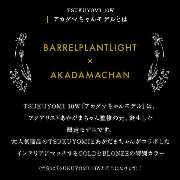 TSUKUYOMI LED 10W あかだまちゃんモデル　ゴールド　Ｅ２６口金_1