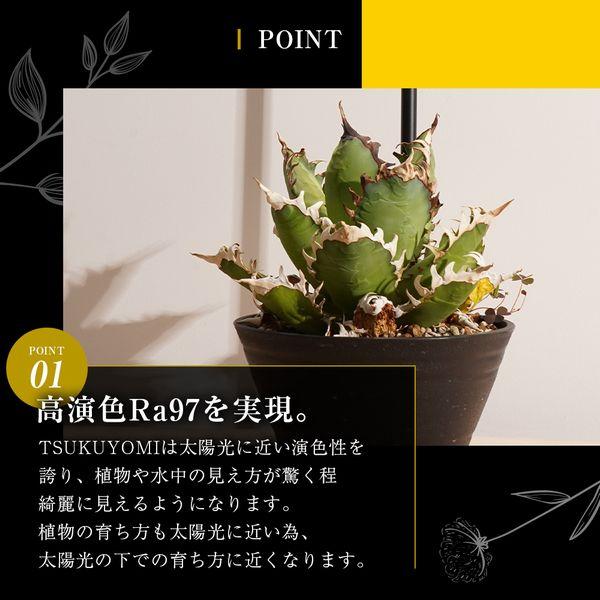 TSUKUYOMI LED 10W あかだまちゃんモデル　ゴールド　Ｅ２６口金_2