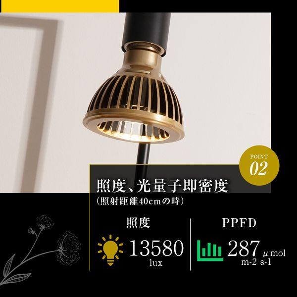 TSUKUYOMI LED 10W あかだまちゃんモデル　ゴールド　Ｅ２６口金_3