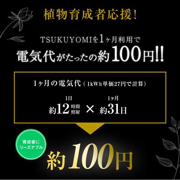 TSUKUYOMI LED 10W あかだまちゃんモデル　ゴールド　Ｅ２６口金_5