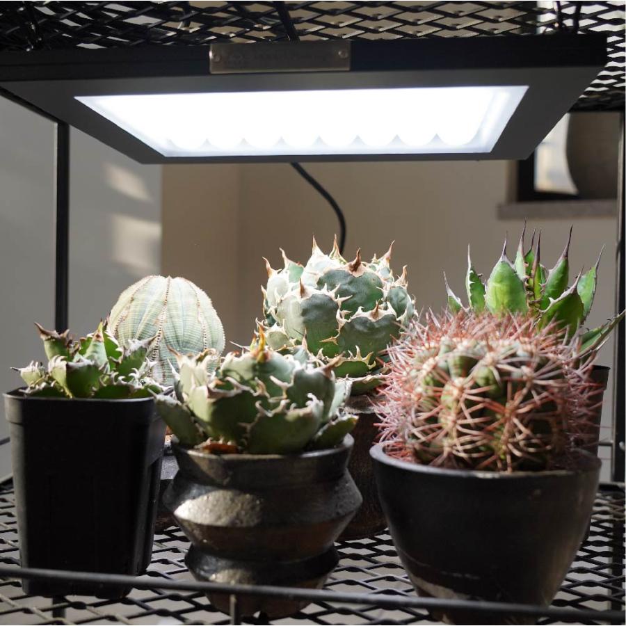 ROKI350 パネルライト② 楽天市場】パネルライト【ROKI‐350 100W】ロキBARREL