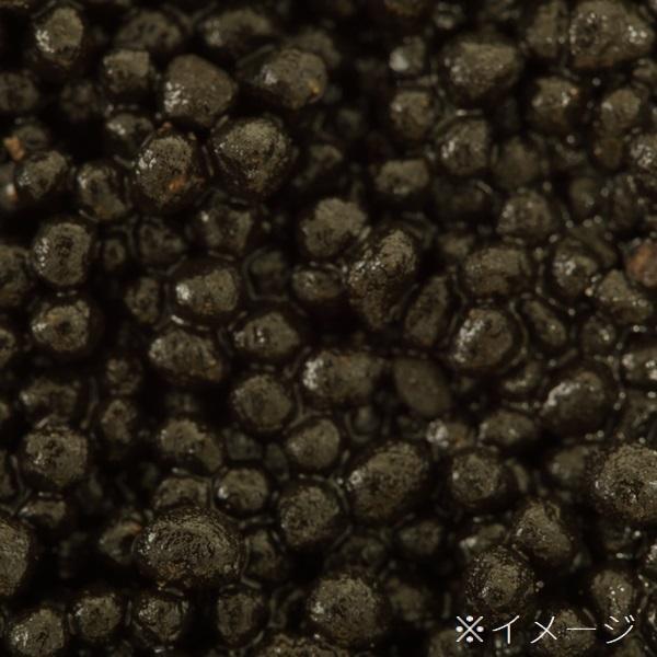 AGW アマゾニアベースソイル パウダーブラック 9L 高機能底床 AGW アマゾニアベースソイル パウダーブラック 9L 高機能底床