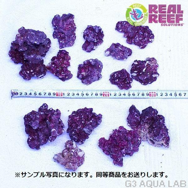 LSS研究所 人工ライブロック リアルリーフロック ナノ 約2kg 同梱発送