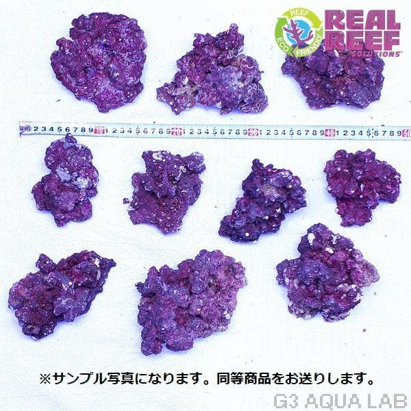 LSS研究所 人工ライブロック リアルリーフロック SMサイズ 約5kg 同梱