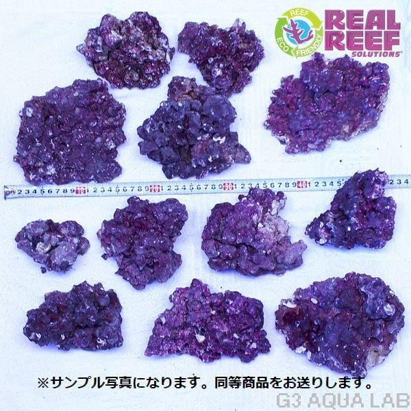 Reef Works 樹脂製人工ライブロック｜リアル塗装 海水水槽用 レプリカ7 LSS研究所 人工ライブロック リアルリーフロック S&Mサイズ 約7kg 同梱