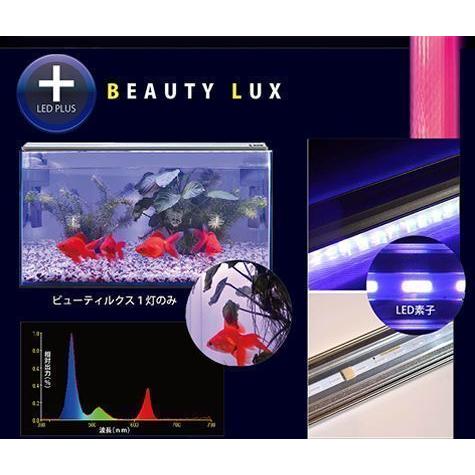 ゼンスイ LED PLUS 120cm ビューティルクス : G3 AQUA LAB ゼンスイ LED PLUS 120cm ビューティルクス : G3 AQUA LAB
