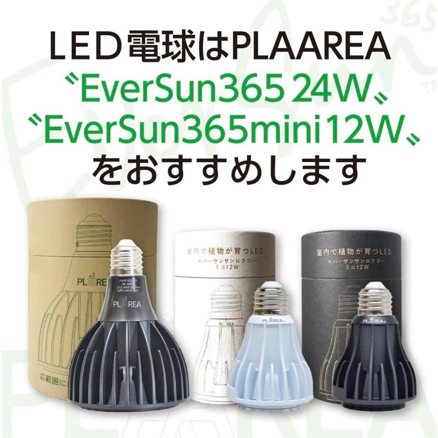ゼンスイ プラエリア スタンドソケット ブラック ホワイト LED