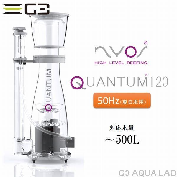 ゼンスイ ゼスト ニオス クァンタム 120 50Hz用 500L対応 プロテイン