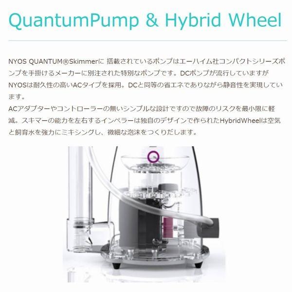 お求めやすく価格改定 G3 AQUA LAB ショップゼスト ニオス クァンタム 120 60Hz用 500L対応 プロテインスキマー ゼンスイ ニオス クァンタム 120 (60Hz用)