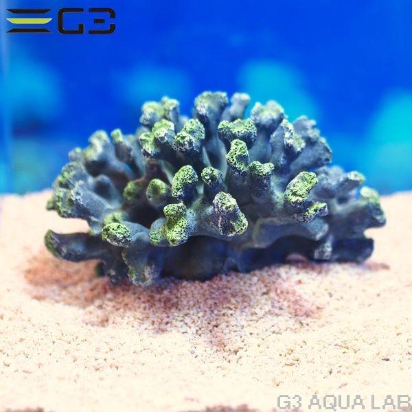 ゼンスイ ZEST レプリカサンゴ M-2 : G3 AQUA LAB ヤフーショップ