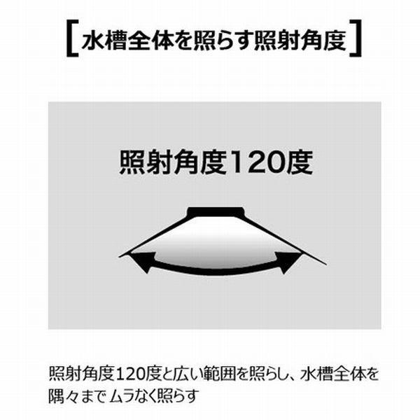 送料無料北海道沖縄除くゼンスイ ナノレビル ブルーホワイト