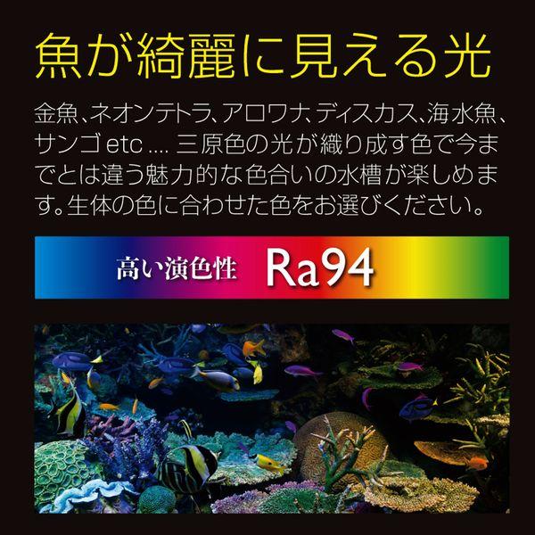 ゼンスイ LED照明 マルチカラーLED II 600 60cm水槽照明 : G3 AQUA LAB