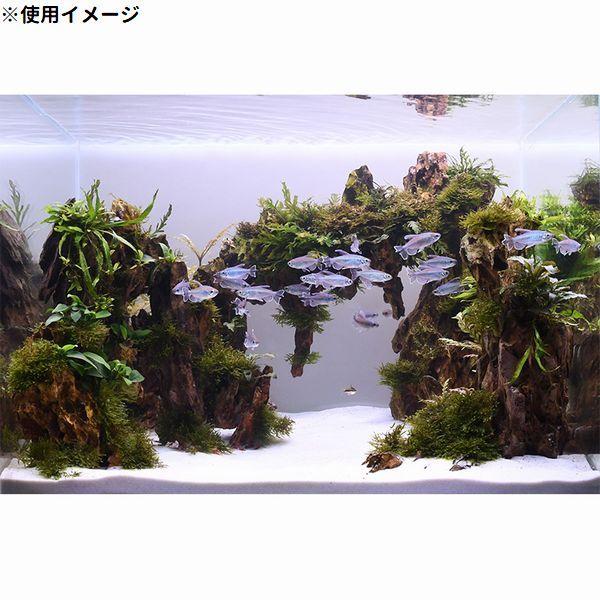カミハタ 送料無料 メイクアップサンド スノー Make up Sand カミハタ 送料無料 メイクアップサンド スノー Make up Sand