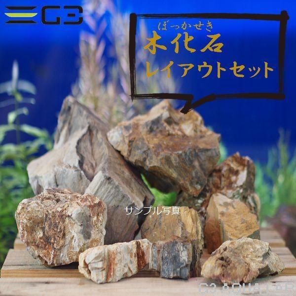 カミハタ 木化石 レイアウトセット : G3 AQUA LAB ヤフーショップ