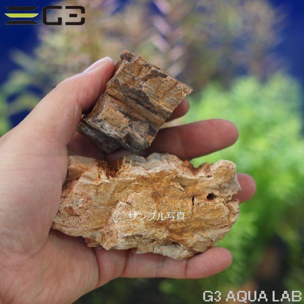 カミハタ 木化石 レイアウトセット : G3 AQUA LAB ヤフーショップ