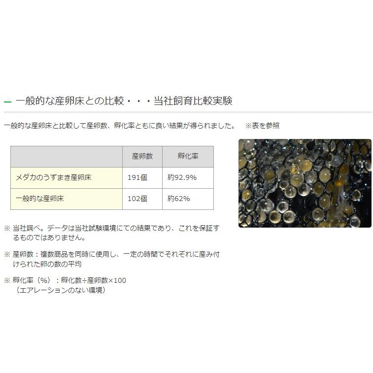 カミハタ メダカのうずまき産卵床(黒) : G3 AQUA LAB ヤフーショップ
