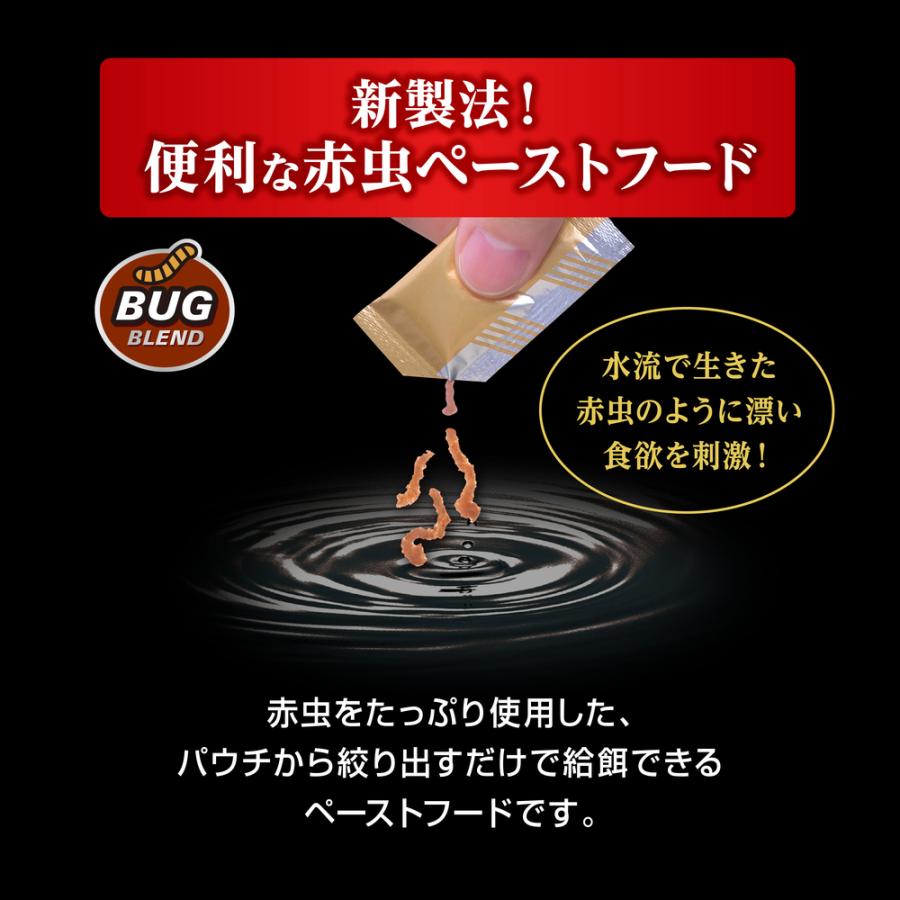 GEX ジェックス ワイルドペースト 赤虫+ミズアブ 10袋入り : G3 GEX ジェックス ワイルドペースト 赤虫+ミズアブ 10袋入り : G3