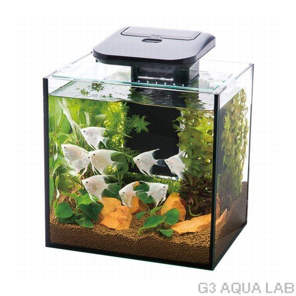 コトブキ工芸 コトブキ アクアコンボ LED一体型フィルターセット コトブキ工芸 コトブキ アクアコンボ LED一体型フィルターセット