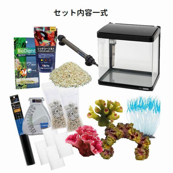 デビュー カクレクマノミ飼育スターターセット 30cm曲げガラス デビュー カクレクマノミ飼育スターターセット 30cm曲げガラス
