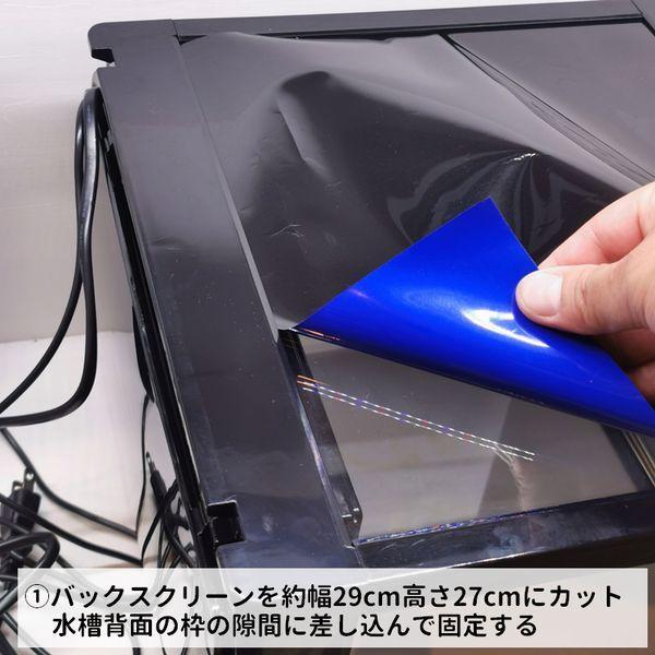 デビュー カクレクマノミ飼育スターターセット 30cm曲げガラス