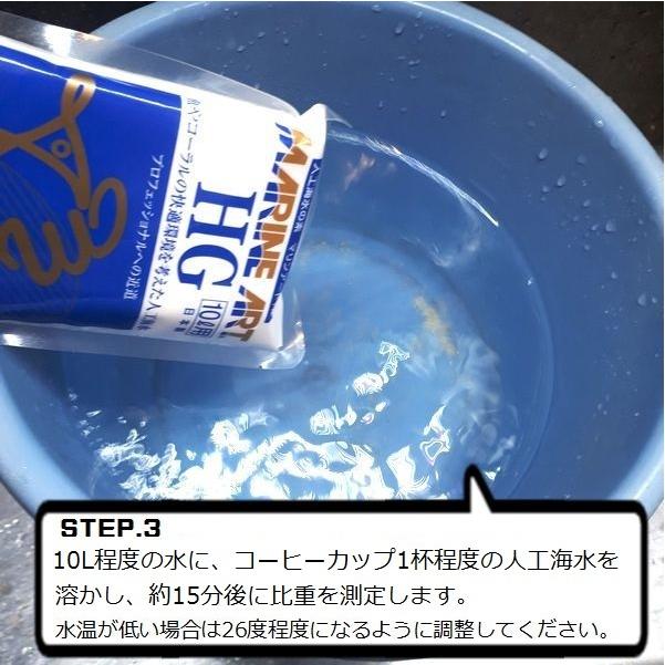 カクレクマノミスターター飼育セット 25cm曲げガラス水槽 1 G3 Aqua Lab ヤフーショップ 通販 Yahoo ショッピング