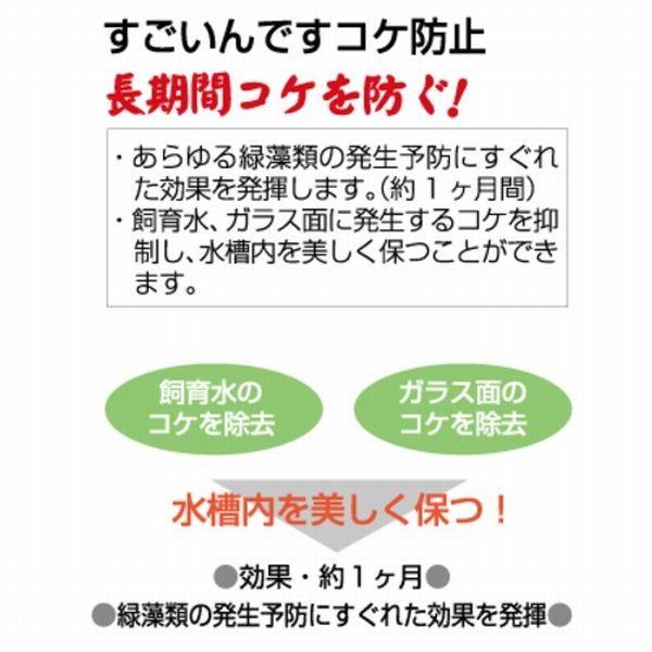 送料550円対応 コトブキ すごいんですコケ防止 300ml 淡水用｜g3aqualab｜02