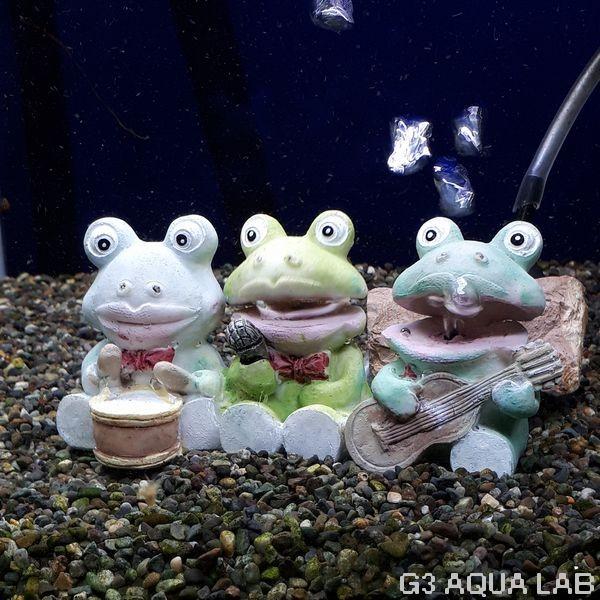 コトブキ工芸 コトブキ パクパクデコダブル かえるの合唱 : G3 AQUA