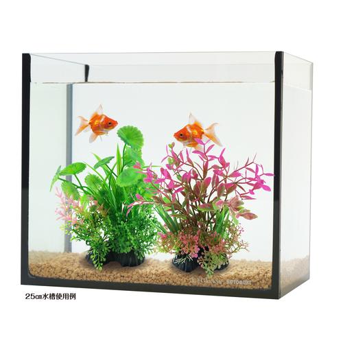 水草 pon コトブキ工芸 コトブキ PON!!と水草 PON-S マッシュルーム : G3 AQUA