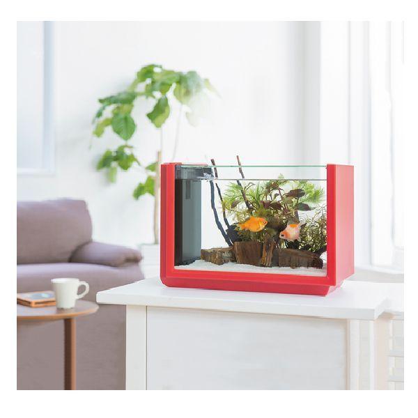 コトブキ工芸 コトブキ ビュース レッド水槽本体 : G3 AQUA LAB ヤフー 