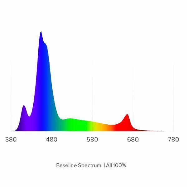 超特盛ミラクルプライス Aqua Illumination Hydra 64HD ブラック フルスペクトルLED ハイドラ 【A1148839736】(40482円)