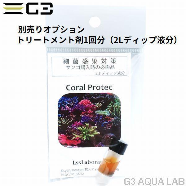 ウスコモンサンゴ レッド Mサイズ 1個体（No,674） : G3 AQUA