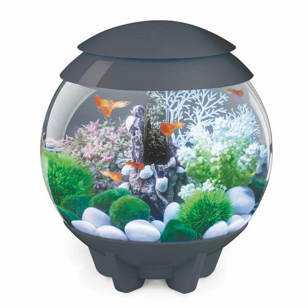 値下げ(新品未使用)biOrb HALO 15 MCR 水槽　人工水草　セット 新品未使用)biOrb HALO 15 MCR 水槽 人工水草 セット