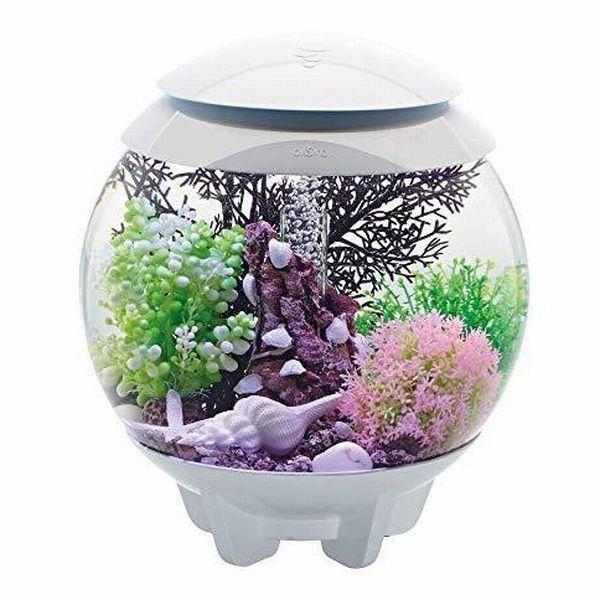 コトブキ工芸 送料無料（北海道沖縄除く）OASE biOrb HALO (バイオーブ