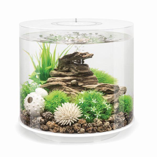 送料無料（北海道沖縄除く）OASE biOrb TUBE (バイオーブ チューブ)15 MCR ホワイト