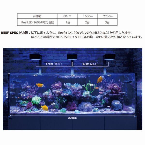 レッドシー リーフLED ReefLED160S : G3 AQUA LAB ヤフー レッドシー リーフLED ReefLED160S : G3 AQUA LAB ヤフー