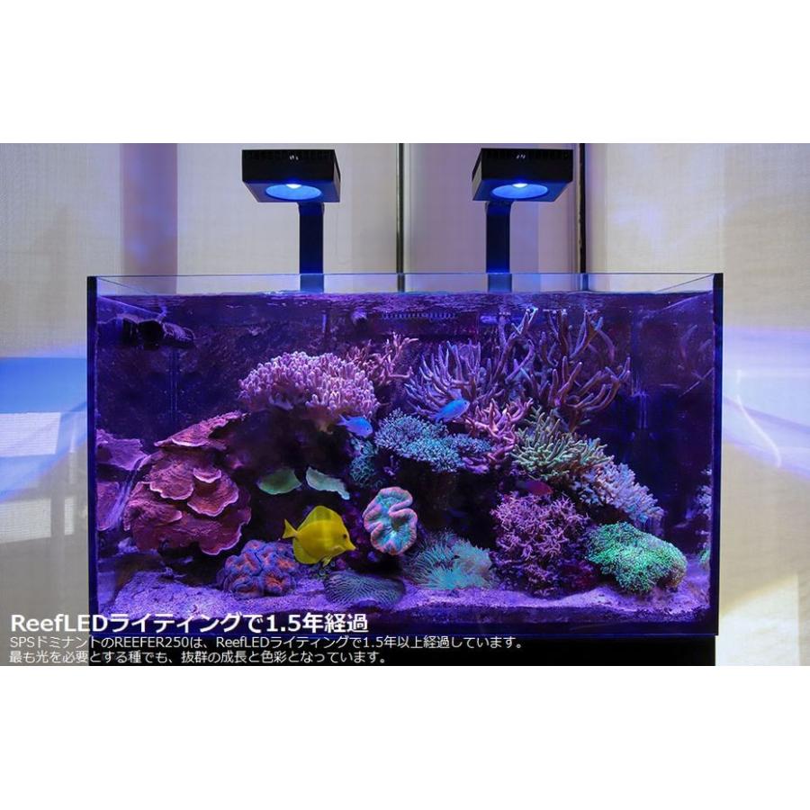 REEF LED50 レッドシー ライト アーム付き 海水水槽