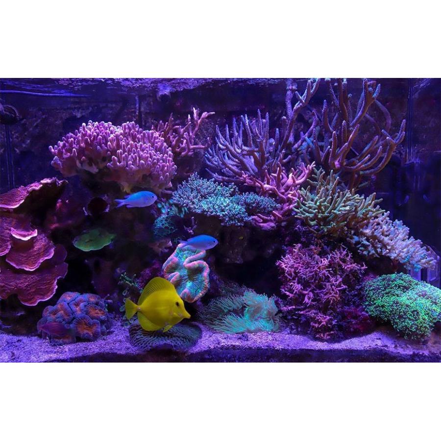 Redsea リーフLED ReefLED90 ユニバーサルマウントアームセット レッド