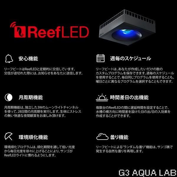 送料無料 レッドシー リーフLED ReefLED90 : 7290100770719 : G3 AQUA