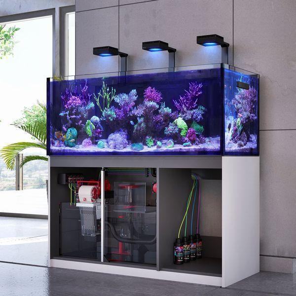レッドシー リーファーG2+ 250フランジ付き ブラック Red sea レッドシー リーファーG2+ 250フランジ付き ブラック Red sea